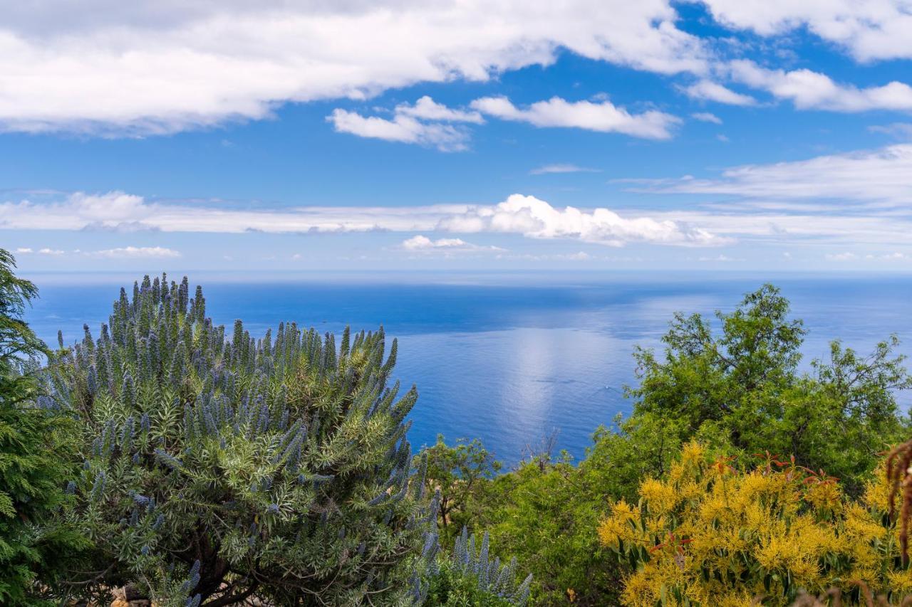El Palmeral Tinizara Экстерьер фото