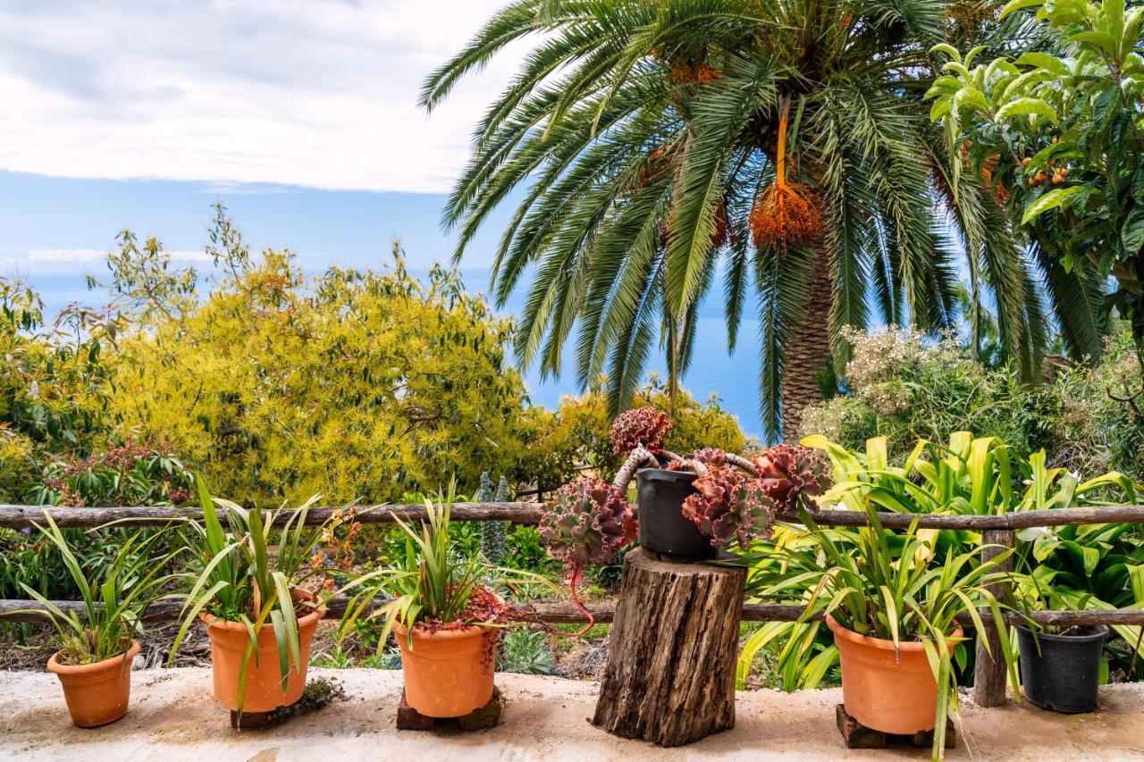 El Palmeral Tinizara Экстерьер фото